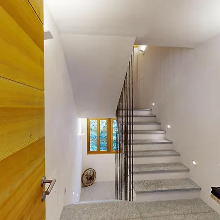 Rominger-surlej * Surlej