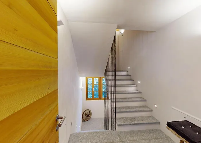 Rominger-surlej * Surlej